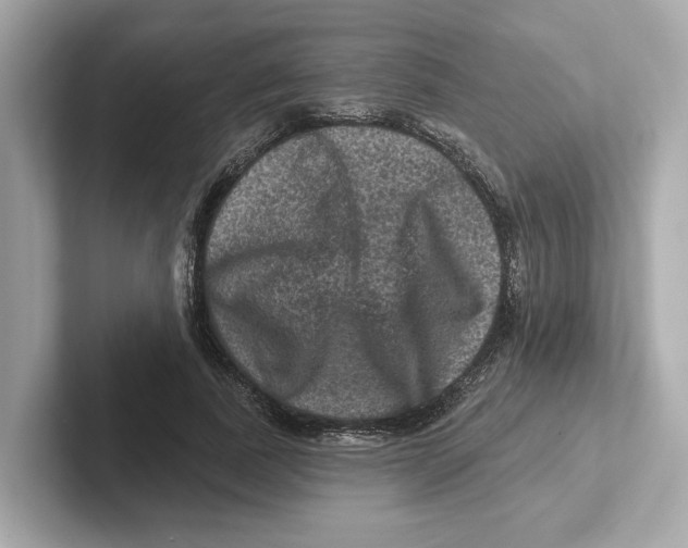 X0000101090739200807241007