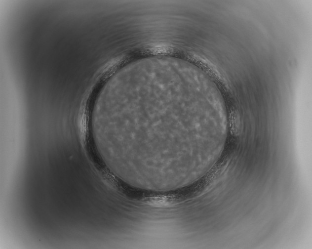 X0000101090740200807241007