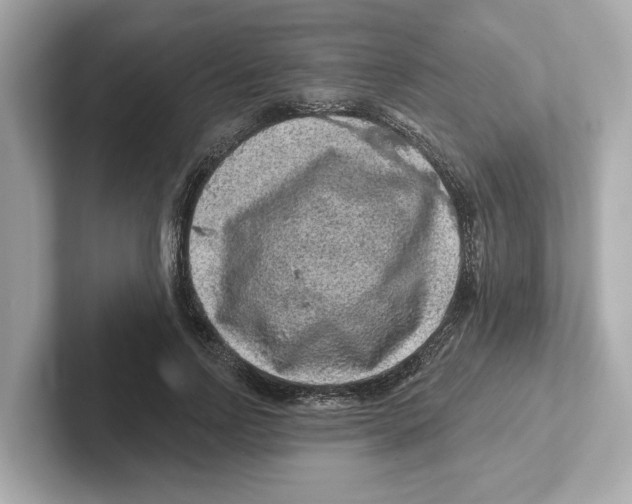 X0000101090742200807241007