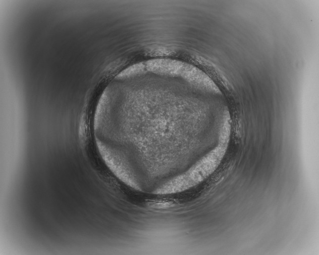 X0000101090743200807241007