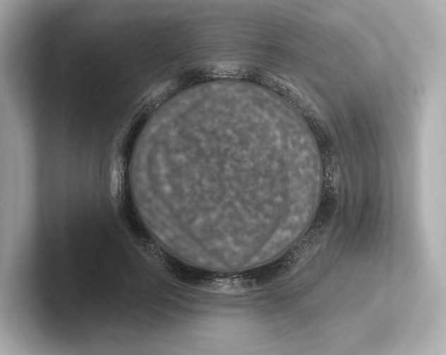 X0000101090744200807241007