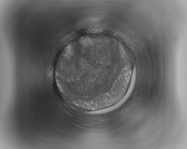 X0000101090745200807241007