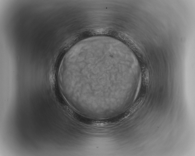 X0000101090746200807241007