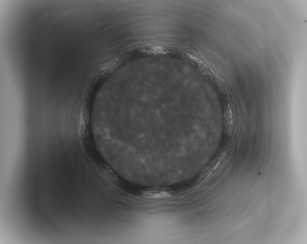 X0000101090747200807241007