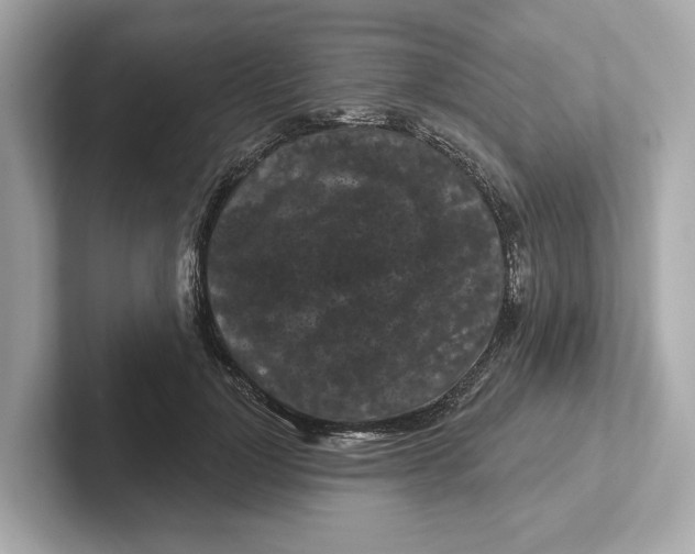 X0000101090748200807241007