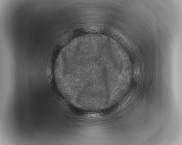 X0000101090749200807241007