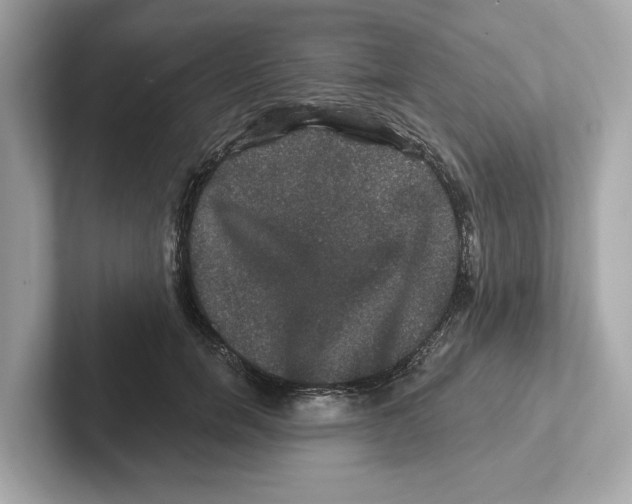 X0000101090750200807241007