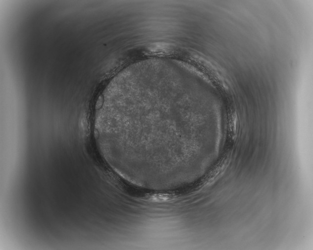 X0000101090751200807241007