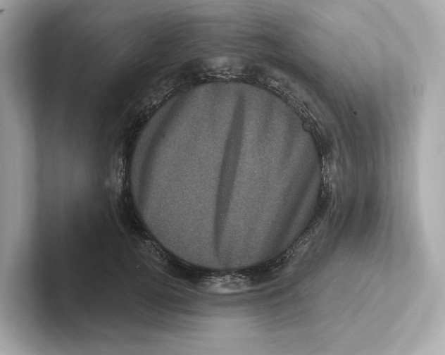 X0000101090752200807241007