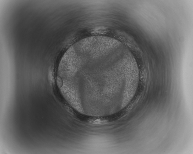 X0000101090755200807241007