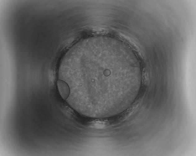 X0000101090756200807241007