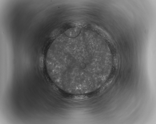 X0000101090757200807241007