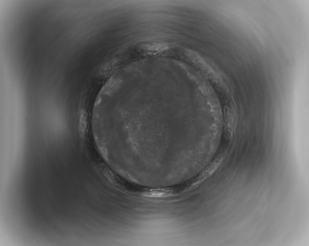 X0000101090758200807241007