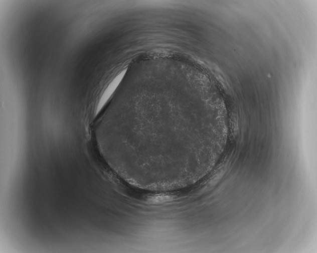 X0000101090759200807241007