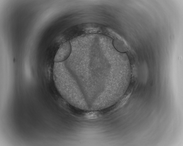 X0000101090761200807241007