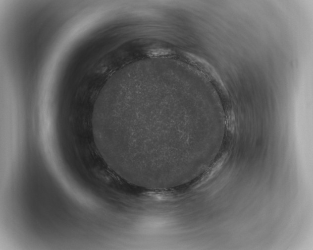 X0000101090763200807241007