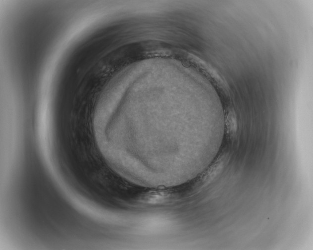 X0000101090764200807241007