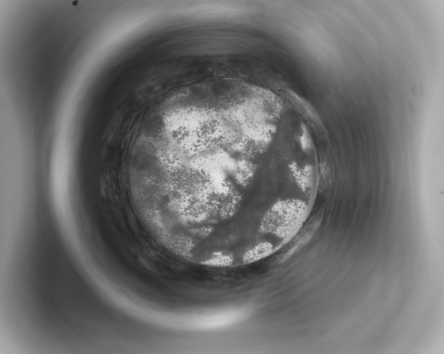 X0000101090765200807241007