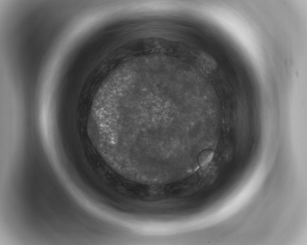 X0000101090766200807241007