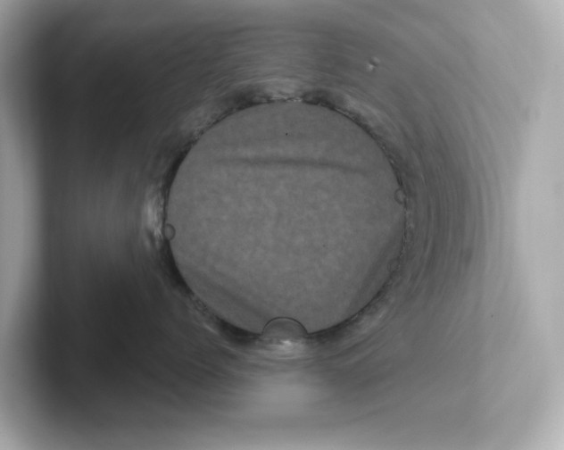 X0000101090768200807241007