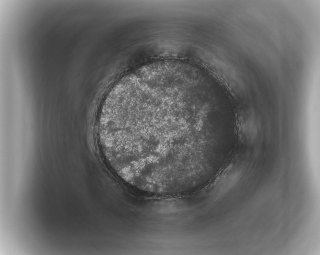 X0000101090769200807241007