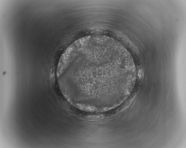 X0000101090771200807241007