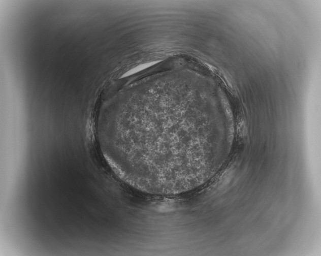 X0000101090772200807241007