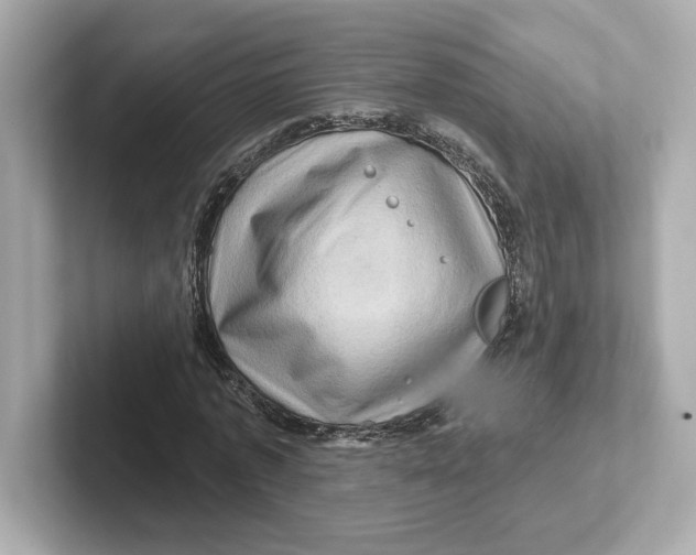 X0000101090773200807241007