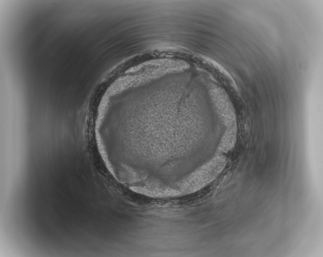 X0000101090775200807241007