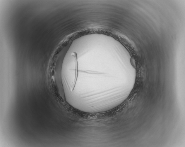 X0000101090776200807241007