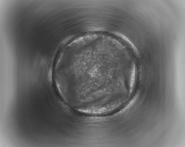 X0000101090777200807241007