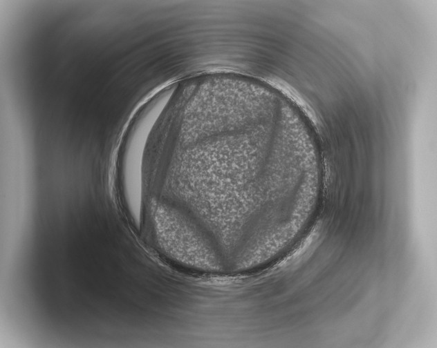 X0000101090782200807241007