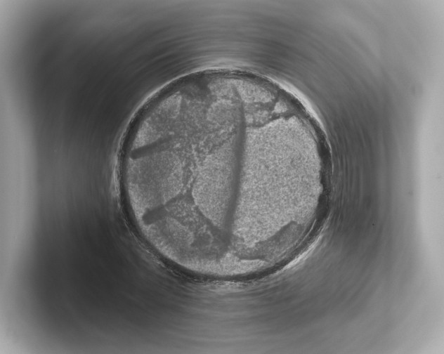 X0000101090783200807241007