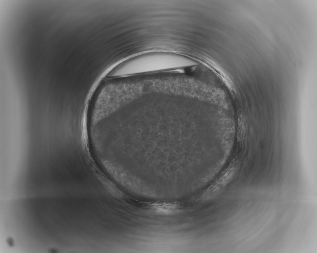 X0000101090788200807241007