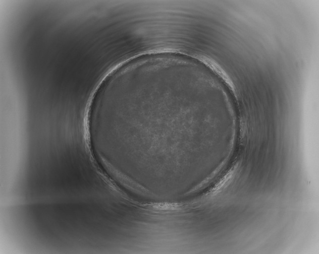 X0000101090789200807241007