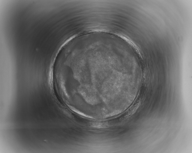 X0000101090790200807241007