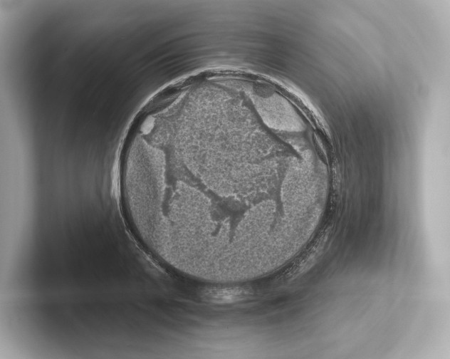 X0000101090791200807241007