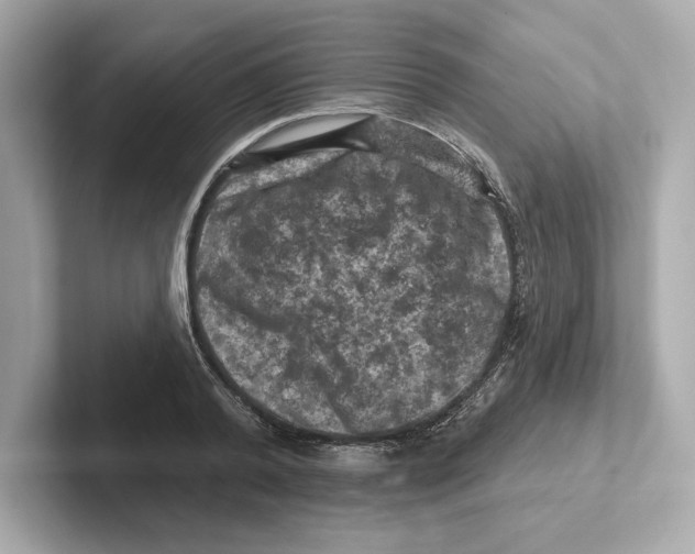 X0000101090792200807241007