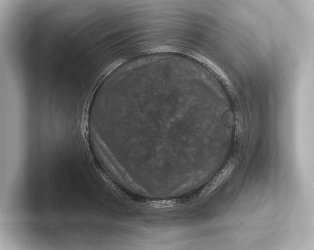 X0000101090793200807241007