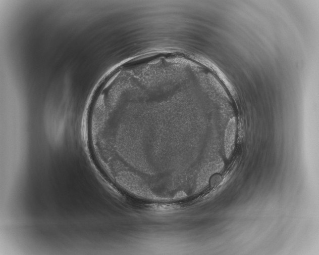 X0000101090795200807241007