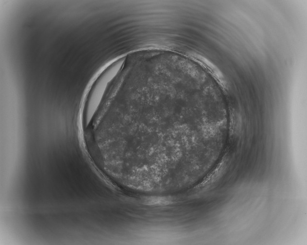 X0000101090796200807241007