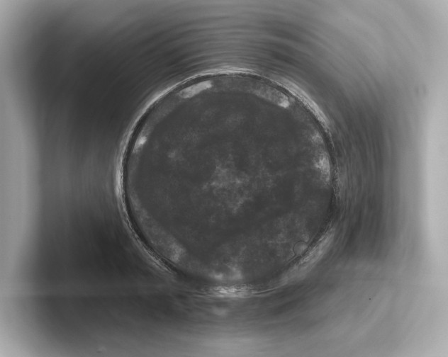 X0000101090797200807241006