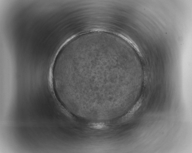 X0000101090798200807241006