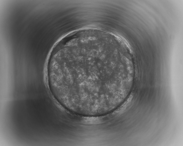 X0000101090800200807241006