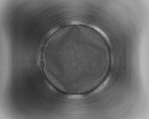 X0000101090801200807241006