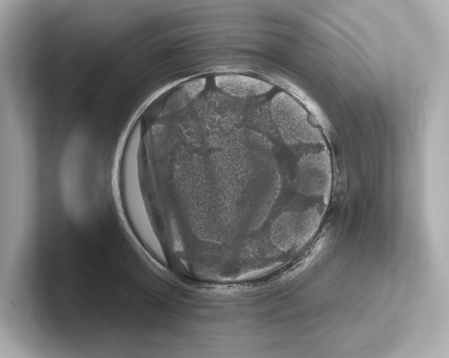 X0000101090803200807241006