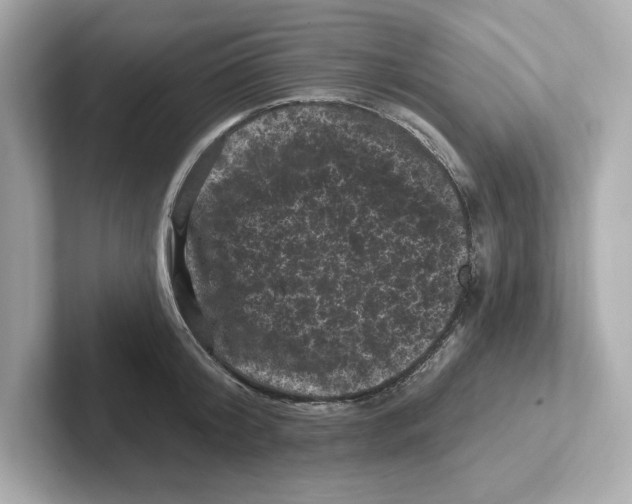 X0000101090804200807241006