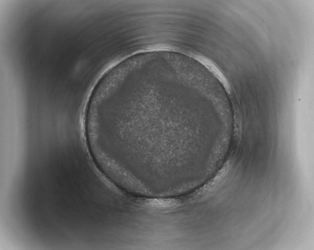 X0000101090805200807241006