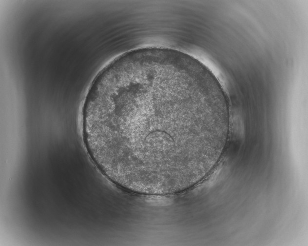 X0000101090807200807241006