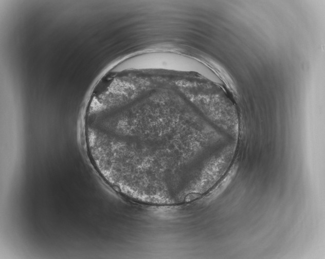 X0000101090808200807241006